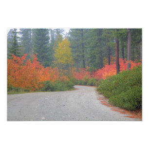 Autumn colours of forests in The Cascade Photo Print