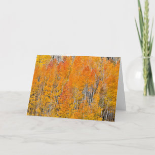 Autumn Colours on Aspen Groves Card