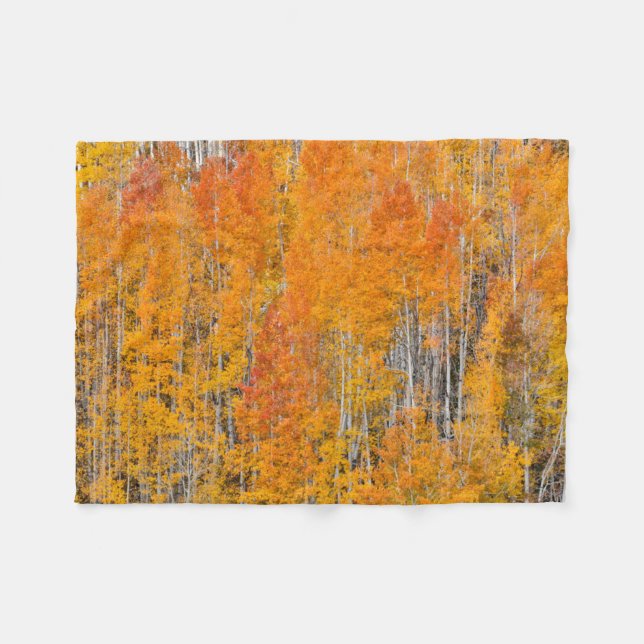 Autumn Colours on Aspen Groves Fleece Blanket (Front (Horizontal))