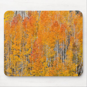 Autumn Colours on Aspen Groves Mouse Pad
