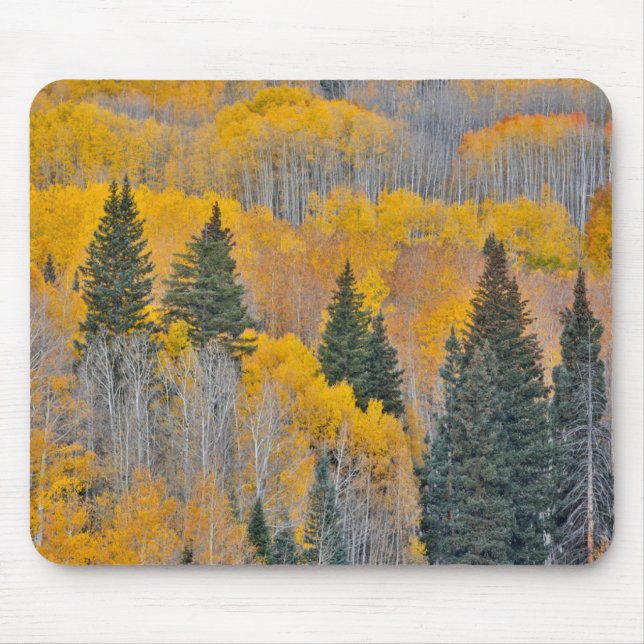 Autumn Colours on Aspen Groves Mouse Pad (Front)