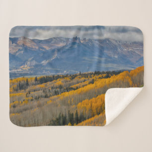 Autumn Colours on Aspen Groves Sherpa Blanket