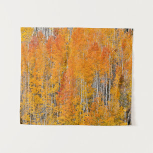 Autumn Colours on Aspen Groves Tapestry