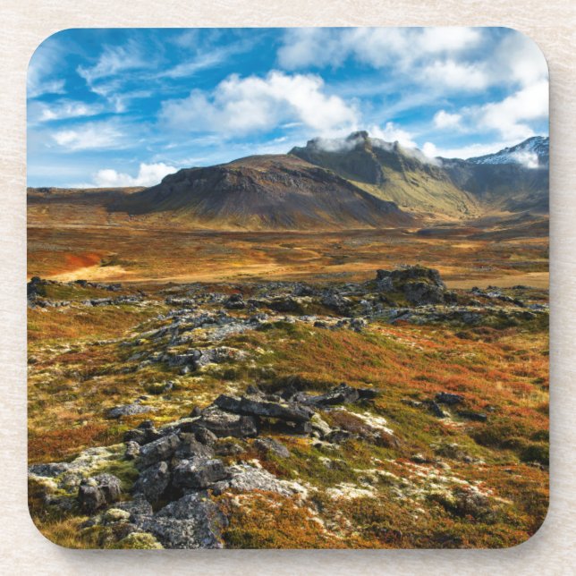 Autumn colours on the landscape coaster (Front)