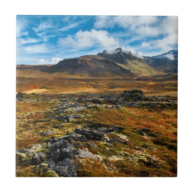 Autumn colours on the landscape tile (Front)