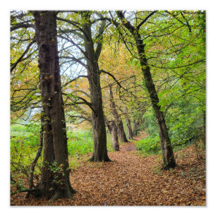 Autumn Colours Photo Print