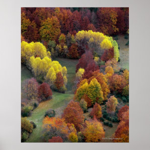 Autumn Colours Poster