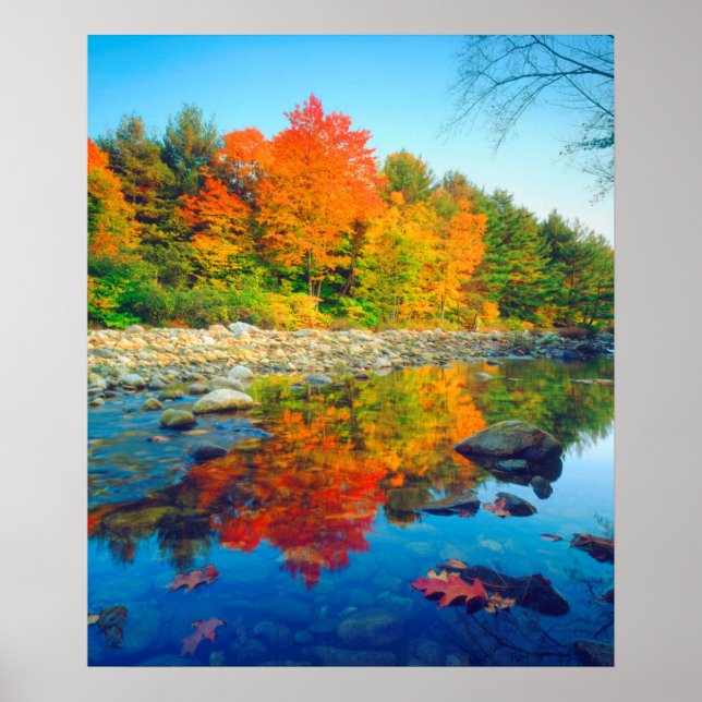 Autumn Colours reflecting in a stream in Vermont Poster (Front)