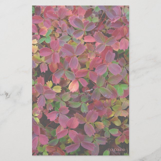 autumn colours stationery (Front)