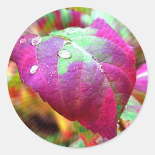 Autumn Colours Sticker