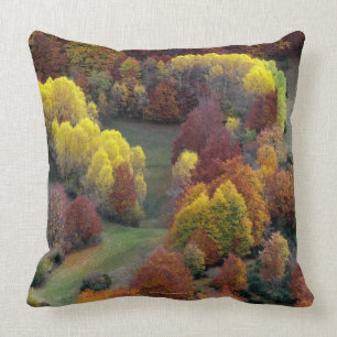 Autumn Colours Throw Pillow