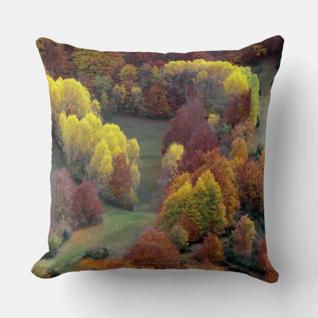 Autumn Colours Throw Pillow (Front)