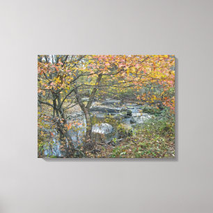 Autumn Comes to the Unami Creek Canvas Print
