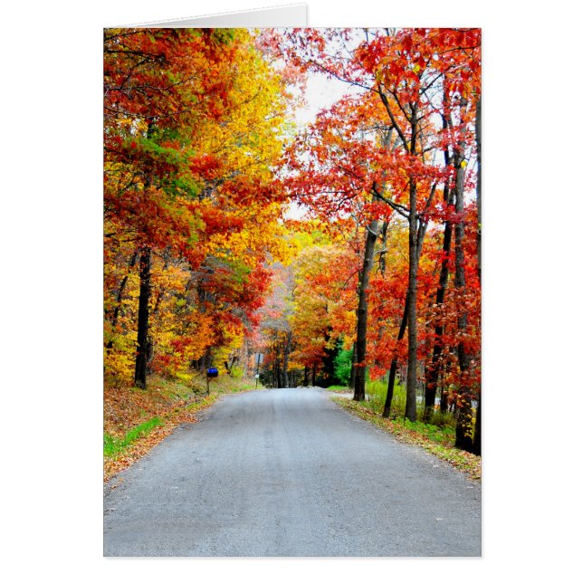 Autumn country road (Front)