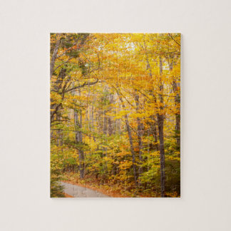 Autumn Country Road Fall Photo Jigsaw Puzzle