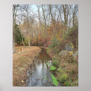 Autumn Creek Photo Poster