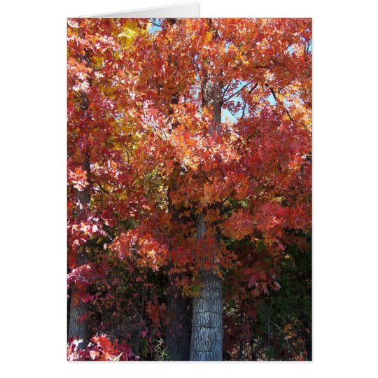 Autumn Crisp Card
