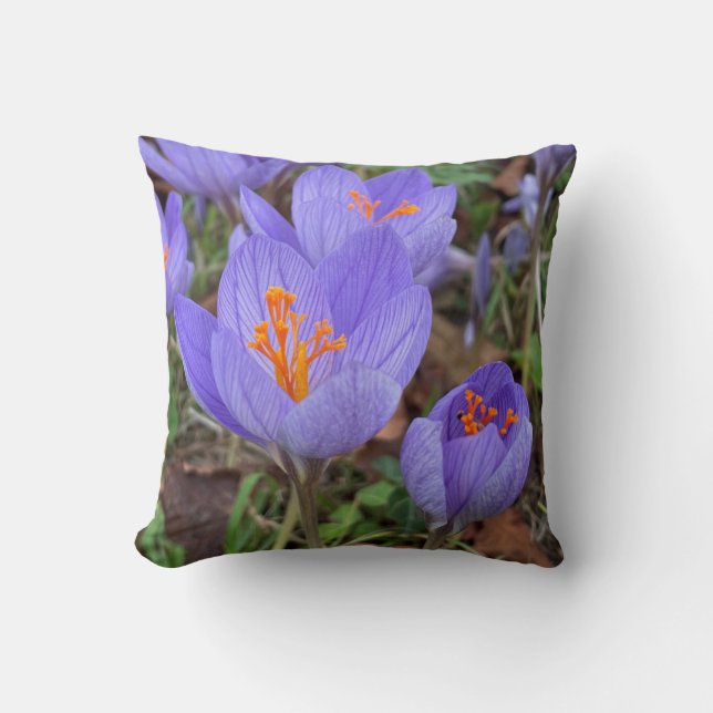 Autumn Crocus Throw Pillow (Front)