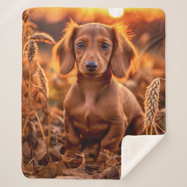 Autumn Dachshund Pup Sherpa Blanket (Front)