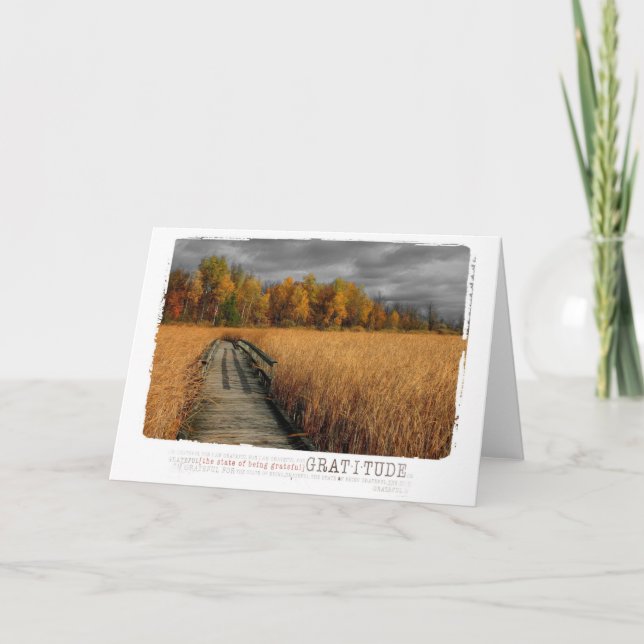 autumn day blank gratitude photography card (Front)
