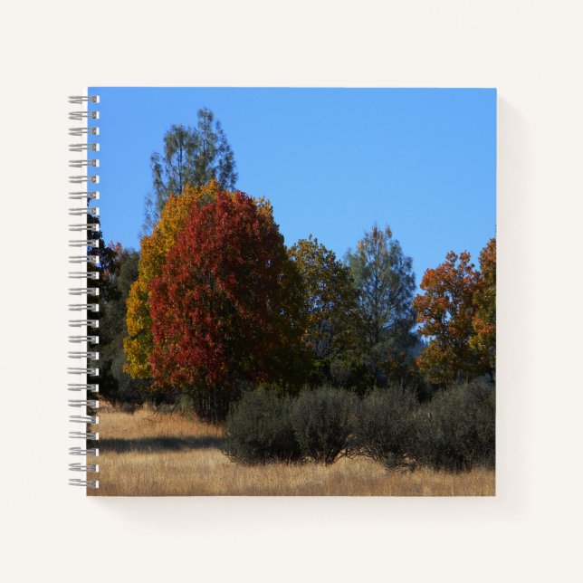 Autumn day in the country...... notebook (Front)