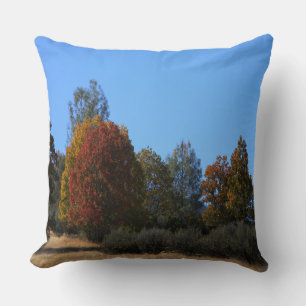 Autumn day in the country...... throw pillow