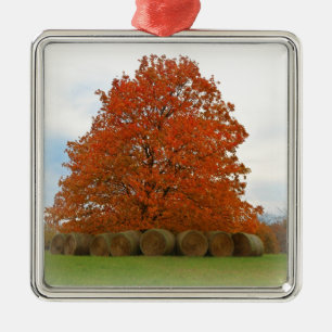 Autumn Day Metal Ornament