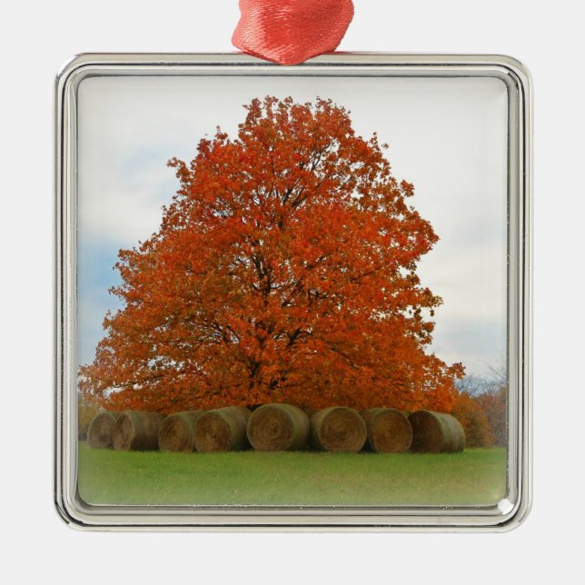 Autumn Day Metal Ornament (Front)