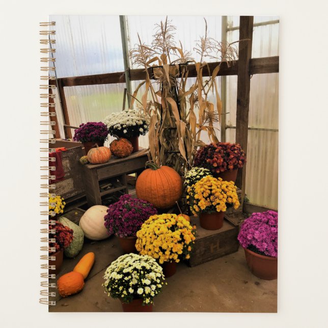 Autumn Decor (Devant)