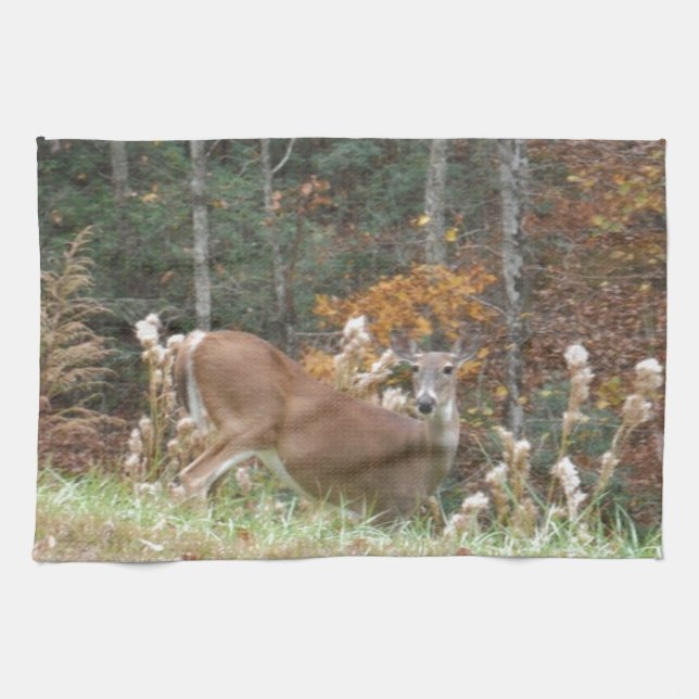 Autumn Deer in Lake Arrowhead GA Kitchen Towel (Horizontal)