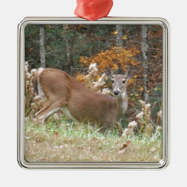 Autumn Deer in Lake Arrowhead GA Metal Ornament (Front)