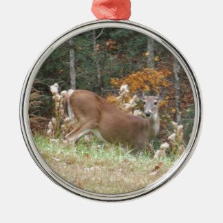 Autumn Deer in Lake Arrowhead GA Metal Ornament