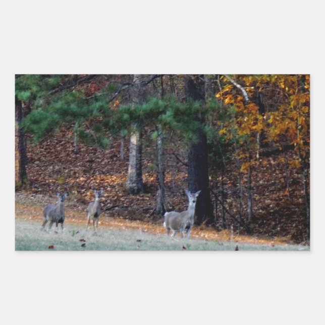 Autumn Deer in the distance Sticker (Front)