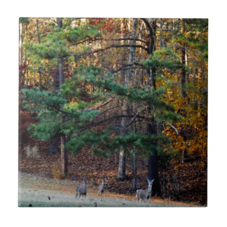 Autumn Deer in the distance Tile