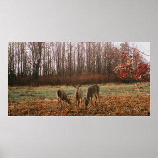 Autumn Deer Poster