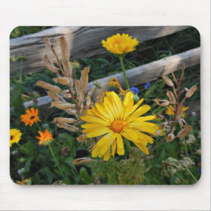 Autumn Delight Mouse Pad