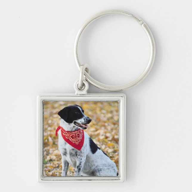 Autumn Dog Keychain (Front)