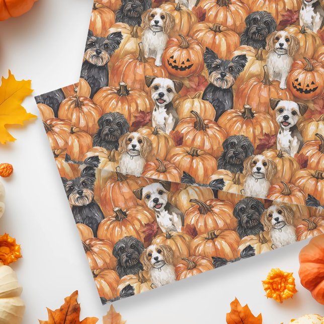 Autumn Dogs in a Pumpkin Patch Halloween Tissue Paper (Creator Uploaded)