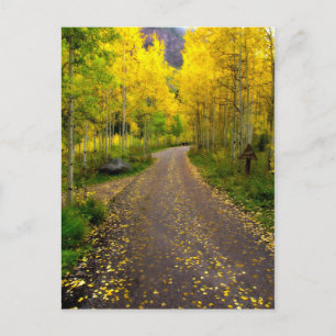 Autumn Dream Postcard