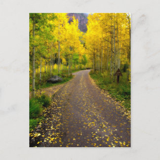 Autumn Dream Postcard