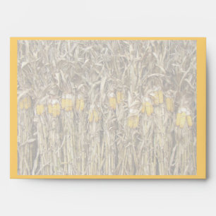 Autumn Dried Corn Stalk Decorations Envelopes