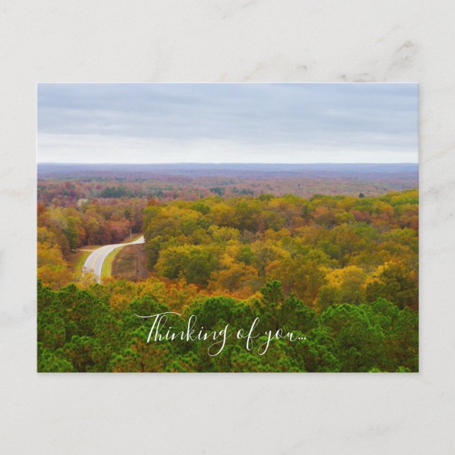 Autumn Drive Pano Thinking Of You Postcard (Front)