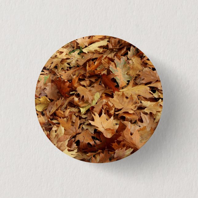 autumn, dry leaves 1 inch round button (Front)