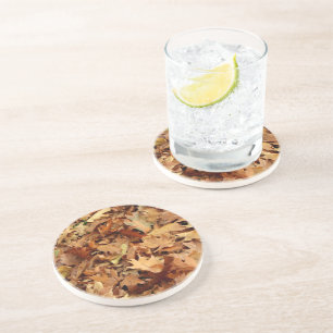 autumn, dry leaves coaster