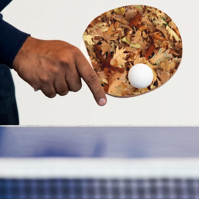 autumn, dry leaves ping pong paddle (Insitu)