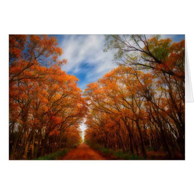 Autumn Evening (Front Horizontal)