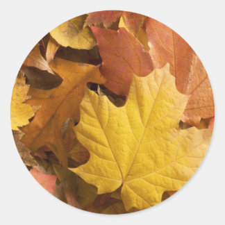 Autumn Fall Collection Golden Leaves Stickers