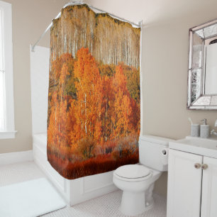Autumn Fall Colour Aspens Kolob Zion Shower