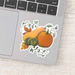 Autumn Fall Harvest Pumpkin Gourd Illustration