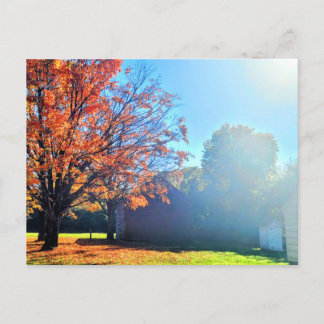 Autumn Fall in Long Island New York Postcard